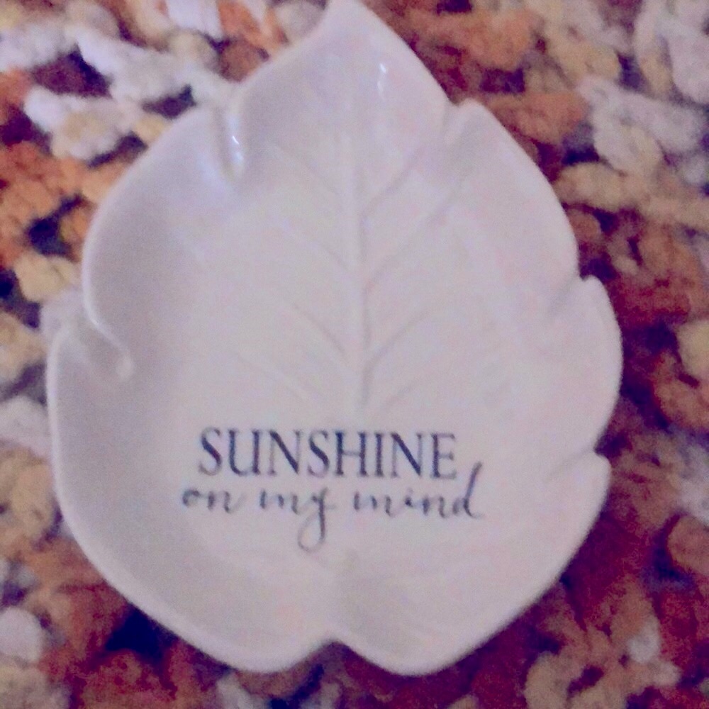 Porcelain dish